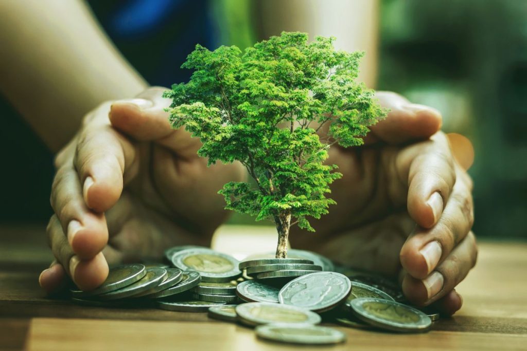 15-Les nouvelles incitations fiscales pour les entreprises écologiques